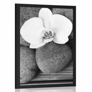 plagat wellness kamene a orchidea na drevenom pozadi v ciernobielom prevedeni