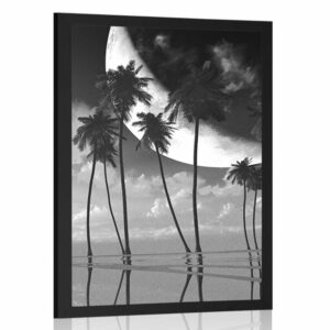 plagat zapad slnka nad tropickymi palmami v ciernobielom prevedeni