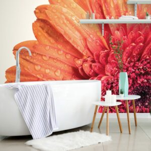 samolepiaca fototapeta gerbera s kvapkami vody