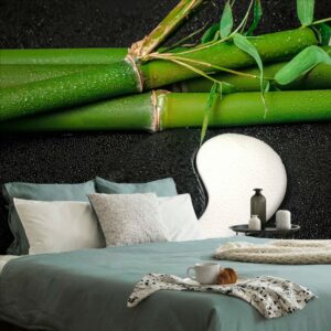 samolepiaca fototapeta kamene v tvare jin a jang