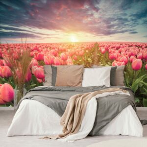 samolepiaca tapeta vychod slnka nad lukou s tulipanmi