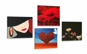 set obrazov elegantna dama