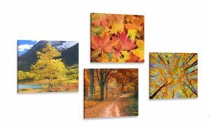 set obrazov jesenna priroda v nadhernych farbach